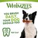 Whimzees Natural Grain-Free Dental Care Snacks for Dogs - Hedgehog & Crocodile Sticks L Size 6 Pieces (60g) - Healthy Treats for Your Pup - Buy Online on GoSupps.com