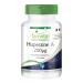 Fairvital | Huperzine A 200mcg - Lycopod Extract - 90 Capsules - Pure Substance