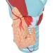 2X Magnification Human Throat Model for Teaching Display - Clear Vinyl Structure with Thyroid and Trachea Dissection - Buy Online on GoSupps.com