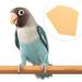 10 Sheets Disposable Bird Cage Liners - Parrot Sandpaper Cushion Pad Mat - Buy Online on GoSupps.com