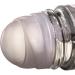 Essenciales Refillable Roll-On Packaging - 50ml Transparent Glass Bottles (2 Pack) - Leak-Proof & Easy to Use - Buy Online on GoSupps.com