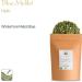 Melilot Blue Organic Herb - blue fenugreek - Meliloti coerulea Trigonella caerulea - Buy Online on GoSupps.com