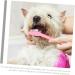 Levemolo 12pcs Double Head Dog Toothbrush Dog Oral Cleaning Toothbrush Cat Toothbrush and Toothpaste Pet Pp - Buy Online on GoSupps.com