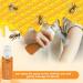 Body Therapy Bee Venom Joint & Bone Therapy Spray - Intensive Concentrate for Joint and Muscle Recovery (3 Bottles) - Buy Online on GoSupps.com