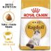 Royal Canin Cat Food Ragdoll 2kg - Buy Online on GoSupps.com