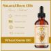 Natural Born Oils Wheat Germ Oil - Organic Cold-Pressed Unrefined 1 Gallon for Radiant Skin & Lustrous Hair - Buy Online on GoSupps.com