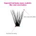 Individual Cluster Eyelashes for Extensions - 40P 0.07 D Curl Mix 8-16mm | Artificial Eyelashes for Beginners DH-40D-0.07-D - Buy Online on GoSupps.com
