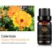 100% Pure Calendula Essential Oil - Therapeutic Grade 10ml for Diffusers Massage & Skin Care | Aromatherapy & Humidifier Use - Buy Online on GoSupps.com
