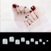 No LIFE 1000PCs Fake Toenail Tips Set - Full Cover False Toenails for DIY Nail Art & Manicure Studios | Clear & Natural Colors 10 Sizes - Buy Online on GoSupps.com