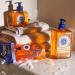L'Occitane Shea Lavender Liquid Soap - 16.9oz | Hand & Body Wash - Buy Online on GoSupps.com