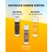 5 g Bee Balm Lip Balm with Cocoa by Nordbechen - Buy Online on GoSupps.com