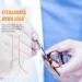 Healvian Glasses Repair Legs - Replacement Arms & Spare Parts for Broken Frames - Buy Online on GoSupps.com