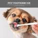 Balacoo 4pcs Pet Toothbrush Chewable Toothpaste Dog Toothbrush Stick -bristle Toothbrush Handheld - Buy Online on GoSupps.com