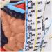 Model Anatomy Professional Medical Acupuncture Male 60cm Super Clear Lettering Half Skin Half Muscle Acupoint Model - Buy Online on GoSupps.com