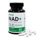 careleaf NAD+ Supplement 300mg, Liposomal NAD Boost with PQQ, Astaxanthin, Folic Acid, Vitamin E, High Purity NAD Supplement for Anti-Aging, Cell Longevity, Energy Metabolism - 60 Capsules