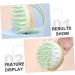 Shop Bcoath Shampoo Brush - Scalp Peeling & Massage Device | Green 8.4x8x7.4cm - International Shipping Available - Buy Online on GoSupps.com