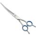 Mangostyle Stainless Steel Pet Grooming Shears | Curved Cat Dog Scissors - Buy Online on GoSupps.com