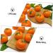 Alipis 5pcs Orange Model Artificial Fruit Mini Decor Light House Decorations for Home Trendy Decor Lifelike Orange Decorations Lifelike Fruit High Simulation Toy Child Foam - Buy Online on GoSupps.com