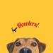 HOWLERS 25cm Pack of 20 Natural Rawhide Dog Chew Cigars | Rawhide Dog Chews Made From 100% Natura Hide | Dog Chews Long Lasting Natural Ingredients - Buy Online on GoSupps.com