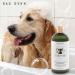 Rae Dunn Deodorizing Shampoo 800ml | Rosemary Mint Aloe & Coconut Oil - International Shipping Available - Buy Online on GoSupps.com