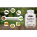 Inhanze Colon Cleanse & Detox - Fast-Acting Gut Cleanser for Men & Women - Flush Waste & Toxins - 3 to 15-Day Body Cleanser with Probiotic - Buy Online on GoSupps.com