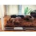 Orgmemory Ceramic Fish Tank Cave Decorations - 2 Pieces | Aquarium Accessories for Aquatic Animals - Buy Online on GoSupps.com