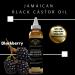Jamaican Black Castor Oil Hair Repair & Hydration - 4oz Dry Hair Moisturizer with Detangling Oils - Buy Online on GoSupps.com