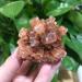 350 Grams of Natural red Aragonite Quartz Crystal Cluster Shape Rough Stone Cluster Nepheline Specimen 1 Piece Natural Decoration (Size : 110-150g)