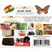 Buy Ohemaa Premium Large Subtle Scented African Black Soap with Pumice - Set of 5 | Natural Dark Brown Textured Soap for All Skin Types - Buy Online on GoSupps.com