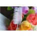 Disposable Toothbrushes with Toothpaste - 100 Pack 5 Mixed Colors | Ideal for Travel & Hygiene - Buy Online on GoSupps.com