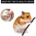 CAMITER 31pcs Natural Apple Wood Chew Toys for Hamster, Rabbit, Guinea Pig - Teeth Care, Molar Toy for Small Pets - Buy Online on GoSupps.com