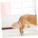 Happyyami 6 Rolls Pet Tapes - Self-Adhesive Colored Nonwoven Dog Care for Wounds & Decoration | Multi-Function Cat & Dog Supplies - Buy Online on GoSupps.com