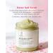 Bodyluxe Glow All-Natural Scrub Trio Coconut Citrus Lemongrass Eucalyptus Energy Rush (4oz ea) Valentine's Gift Set Exfoliating Detoxifying Energizing Organic Ingredients For All Skin Types  - Buy Online on GoSupps.com
