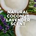 Tom's of Maine Women's Coconut Lavender Antiperspirant Deodorant 2.25 oz 3-Pack - Buy Online on GoSupps.com