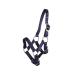 Foal halter foal nylon halter QHP 4 foal sizes 6 colours (Fallabella foal blue) Fallabella foal blue
