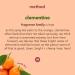 Method Liquid Dish Soap Refill Plant-Based Dishwashing Liquid that Cuts Through Tough Grease for a Sparkling Clean Clementine Scent 36 Fl. Oz - Buy Online on GoSupps.com