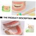 Shop Minkissy 3 Sets Early Education Tooth Toys for Toddlers - Montessori Standard Reusable Kids' Dental Learning Toys - Buy Online on GoSupps.com
