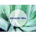 Nivea Sun Nursing After Sun Lotion (250 ml) - Skin-Calming Aloe Vera & Hyaluron 48h Moisture Pack of 3 - Ideal After Sun Care - Buy Online on GoSupps.com