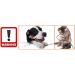 Sleek Socket Pet-Proof Outlet Cover with Power Strip and Cord Cover Kit - 8ft Universal (New Version) - Buy Online on GoSupps.com