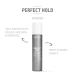 Goldwell StyleSign Perfect Hold Sprayer 8.2 Fl Oz - Powerful Hair Lacquer - Buy Online on GoSupps.com