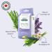 Aleva Naturals Bamboo Baby Nose 'n' Blows Wipes for Cleaning Stuffy Noses with Saline Natural and Organic Formula Extra Strong and Ultra-Soft Biodegradable - Value Pack 30ct X 3 90 Wipes 30 count (Pack of 3) - Buy Online on GoSupps.com
