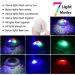 Caxmtu Floating Pool Led Tub Lights Lamp for Bath Disco Pond Swimming Pool Child Bath Toys 7 Modes Assorted Color Battery Operated - Buy Online on GoSupps.com