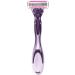 BIC Soleil Click 5 Women's 5-Blade Disposable Razor - 1 Handle + 3 Cartridges - Buy Online on GoSupps.com
