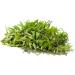 Lemon Verbena dried leaves organic Verveine whole leaves organic 50gm non GMO product of Morocco - Buy Online on GoSupps.com
