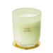 Cocorr na Candle fragrance candle in glass-citrus iron herb burning time up to 22 hours natural soy candle Christmas gift candle 180g citrus iron herb 180g