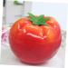 Zerodeko 30 Pcs Imitation Tomato Realistic Vegetable Model Simulated Tomato Model Fake Grapes Home Decoration Photo Prop Faux Plants Tomato Fake Fruit Red Foam Cherry Tomatoes - Buy Online on GoSupps.com