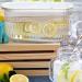 Drink Dispensers for Parties | 4L Refrigerator Water Dispenser Large Capacity Cold Water Pitcher Fruit Drink Dispenser Beverage Container with Faucet for Kitchen Home Party Bar Pinnkl - Buy Online on GoSupps.com