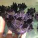 Room Decoration Natural Crystals and Stones Natural Amethyst Quartz Crystal Cluster Phantom Quartz Raw Specimen for Home Decoration for Decoration (Color : 700-800g)