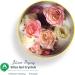 Wisedry Silica Gel Flower Drying Crystals - 5 LBS Color Indicating & Reusable | Ideal for Flower Preservation - International Shipping Available - Buy Online on GoSupps.com