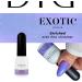 Didier Lab - Premium Gel Nail Polish Exotic - Peacock - Gel Nail Varnish - Nail Art - Long-Lasting High Gloss Wear - Easy to Apply - Gel Nails - Rich Pigment - UV/LED - Chip Resistant - Buy Online on GoSupps.com
